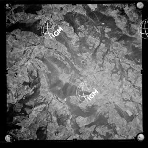 106-1963-XXI-228