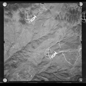 106-1963-N-229