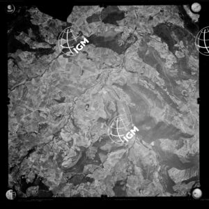 106-1963-XXI-229