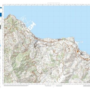 22 39 (Patti) Anno: 2022