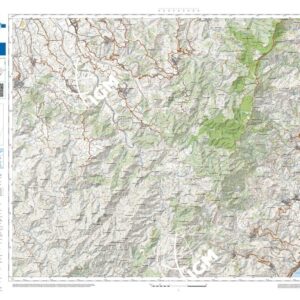 22 41 (San Pier Niceto) Anno: 2022