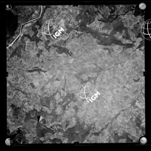 106-1963-XXI-231