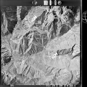 90-1954-36-2317