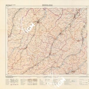 254 (MODIGLIANA) Anno: 1988