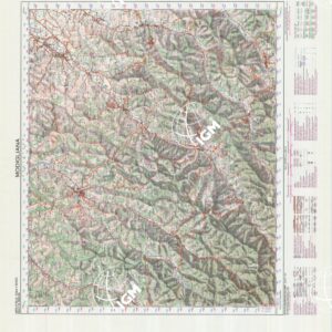 254 (MODIGLIANA) Anno: 1988