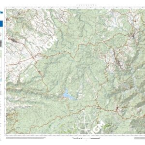 25 45 (Fabrizia) Anno: 2022