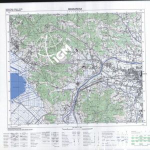 261 III (Massarosa) Anno: 1992