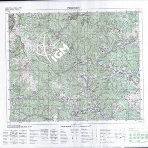 261 IV (Pescaglia) Anno: 1992