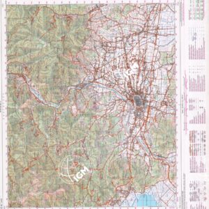 261 (LUCCA) Anno: 1993