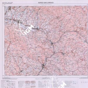 264 (BORGO SAN LORENZO) Anno: 2014