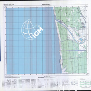 272 I (Migliarino) Anno: 1991