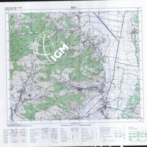 273 I (Buti) Anno: 1991