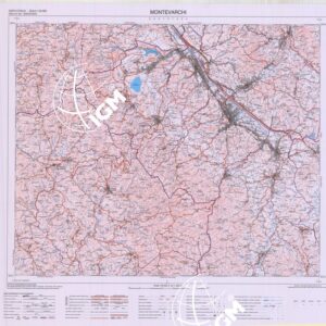 287 (MONTEVARCHI) Anno: 2016