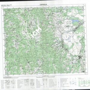 287 IV (Cavriglia) Anno: 2005