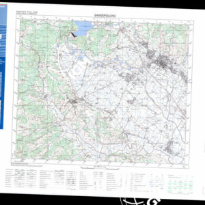289 IV (Sansepolcro) Anno: 1996
