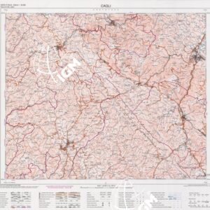 290 (CAGLI) Anno: 1998