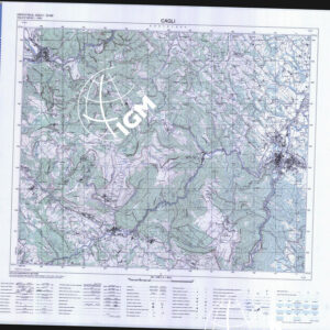 290 I (Cagli) Anno: 1998