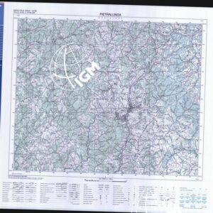 290 III (Pietralunga) Anno: 1998