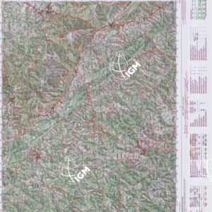 290 (CAGLI) Anno: 1998