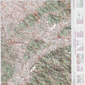 291 (PERGOLA) Anno: 1999