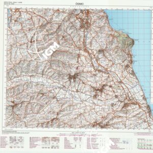 293 (OSIMO) Anno: 2000