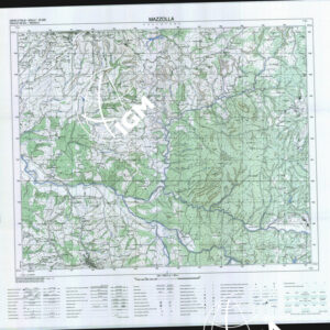 295 I (Mazzolla) Anno: 1991