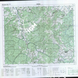 295 III (Sassa) Anno: 1991