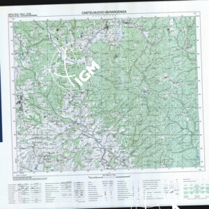 297 I (Castelnuovo Berardenga) Anno: 1994