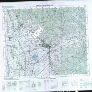 298 I (Castiglion Fiorentino) Anno: 2000