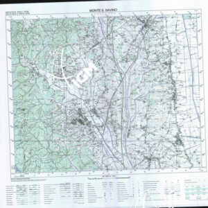 298 IV (Monte San Savino) Anno: 2000