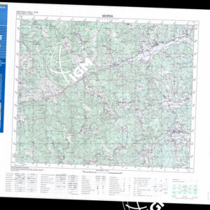 299 IV (Morra) Anno: 2000