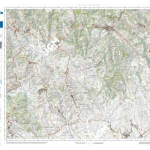 29 47 (Belcastro) Anno: 2022