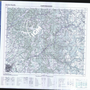 300 IV (Campo Reggiano) Anno: 2000