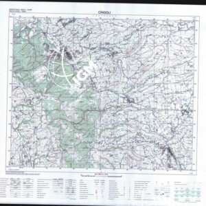 302 I (Cìngoli) Anno: 1996