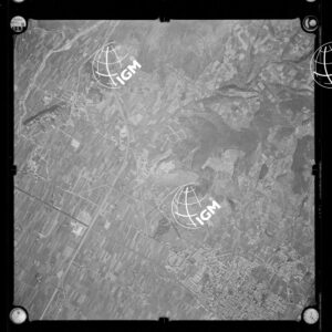 106-1963-P-303