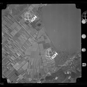 104-1965-XXV-3036