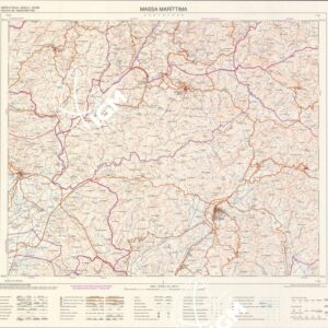 306 (MASSA MARITTIMA) Anno: 1994