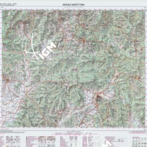 306 (MASSA MARITTIMA) Anno: 1994