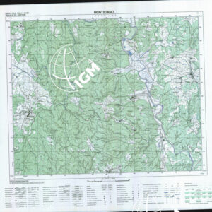 307 I (Monticiano) Anno: 1993