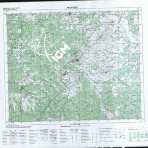 307 IV (Montieri) Anno: 1993