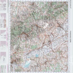 309 (CHIANCIANO TERME) Anno: 2001