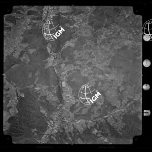 104-1965-XXIX-3109