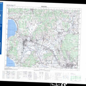 310 I (Magione) Anno: 2000