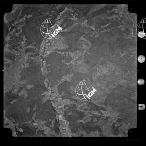 104-1965-XXIX-3110