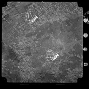 104-1965-XXIX-3117