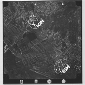 104-1965-XXX-3129