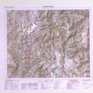 312 (NOCERA UMBRA) Anno: 2017