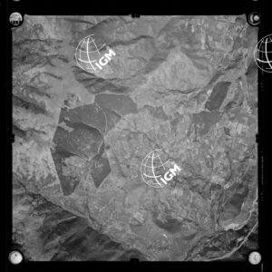 106-1963-P-313