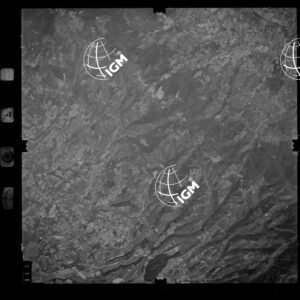 105-1986-5-313