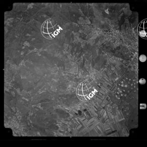 104-1965-XXX-3131